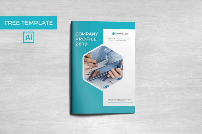 Contoh Desain CD Company Profile A Right Proper Guide